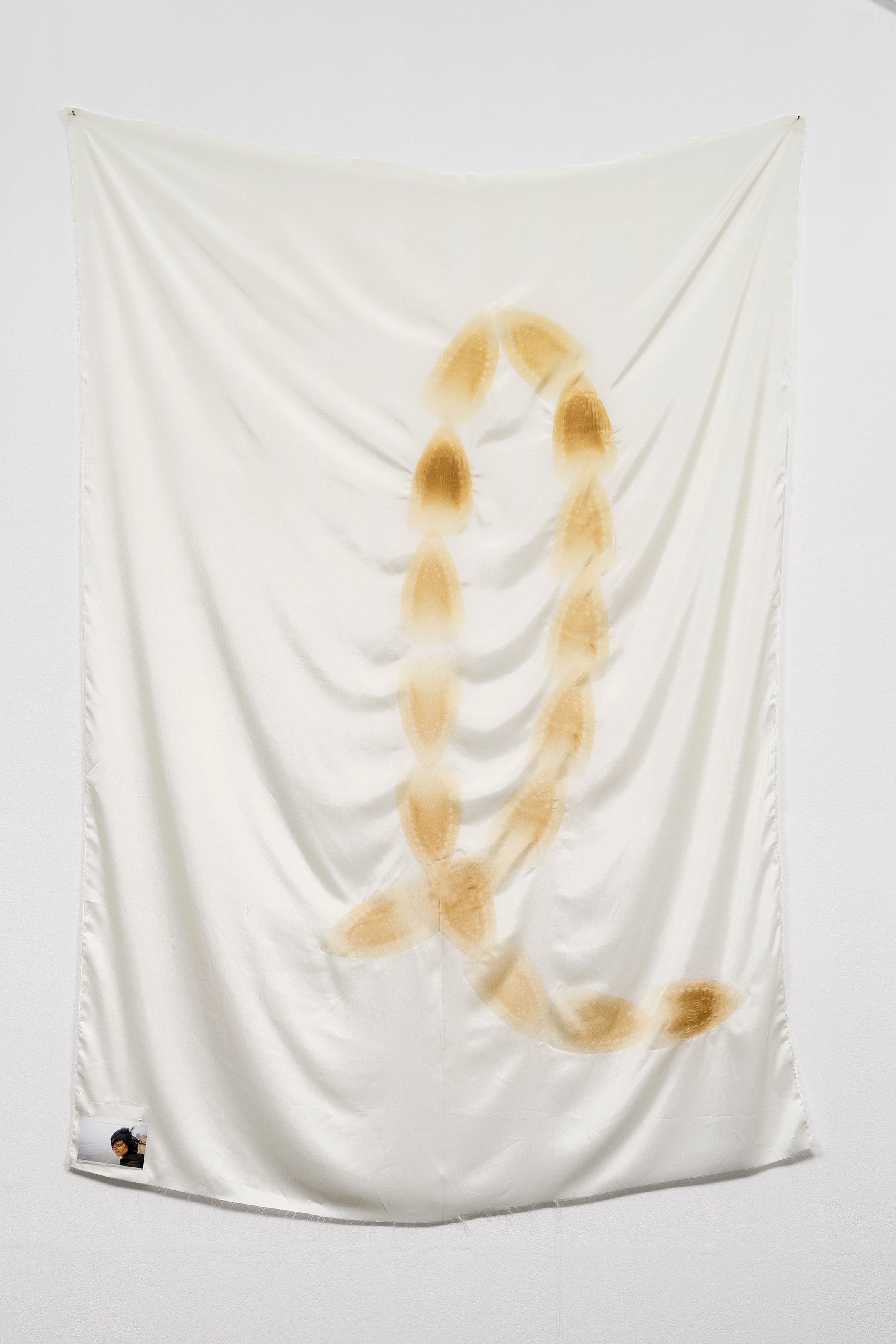 Phung-Tien Phan, Stop Dreaming at Schiefe Zähne, photo 15