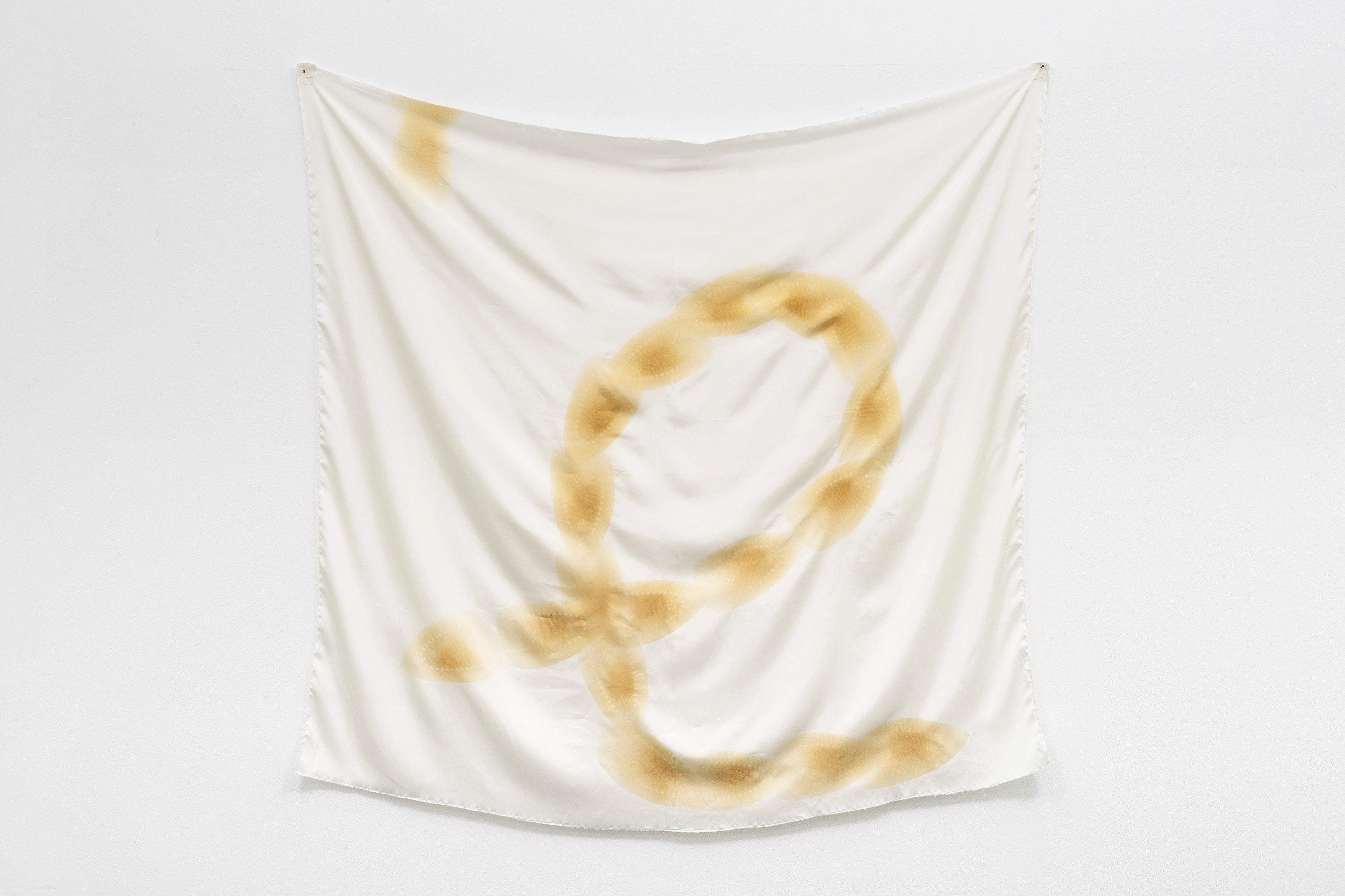 Phung-Tien Phan, Stop Dreaming at Schiefe Zähne, photo 17
