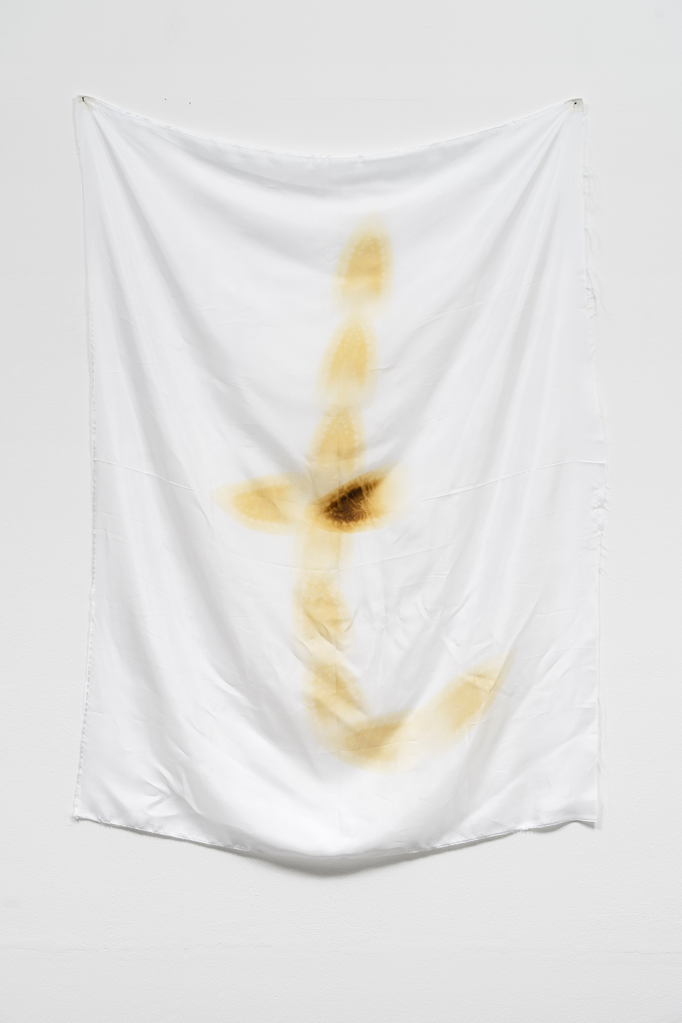 Phung-Tien Phan, Stop Dreaming at Schiefe Zähne, photo 18