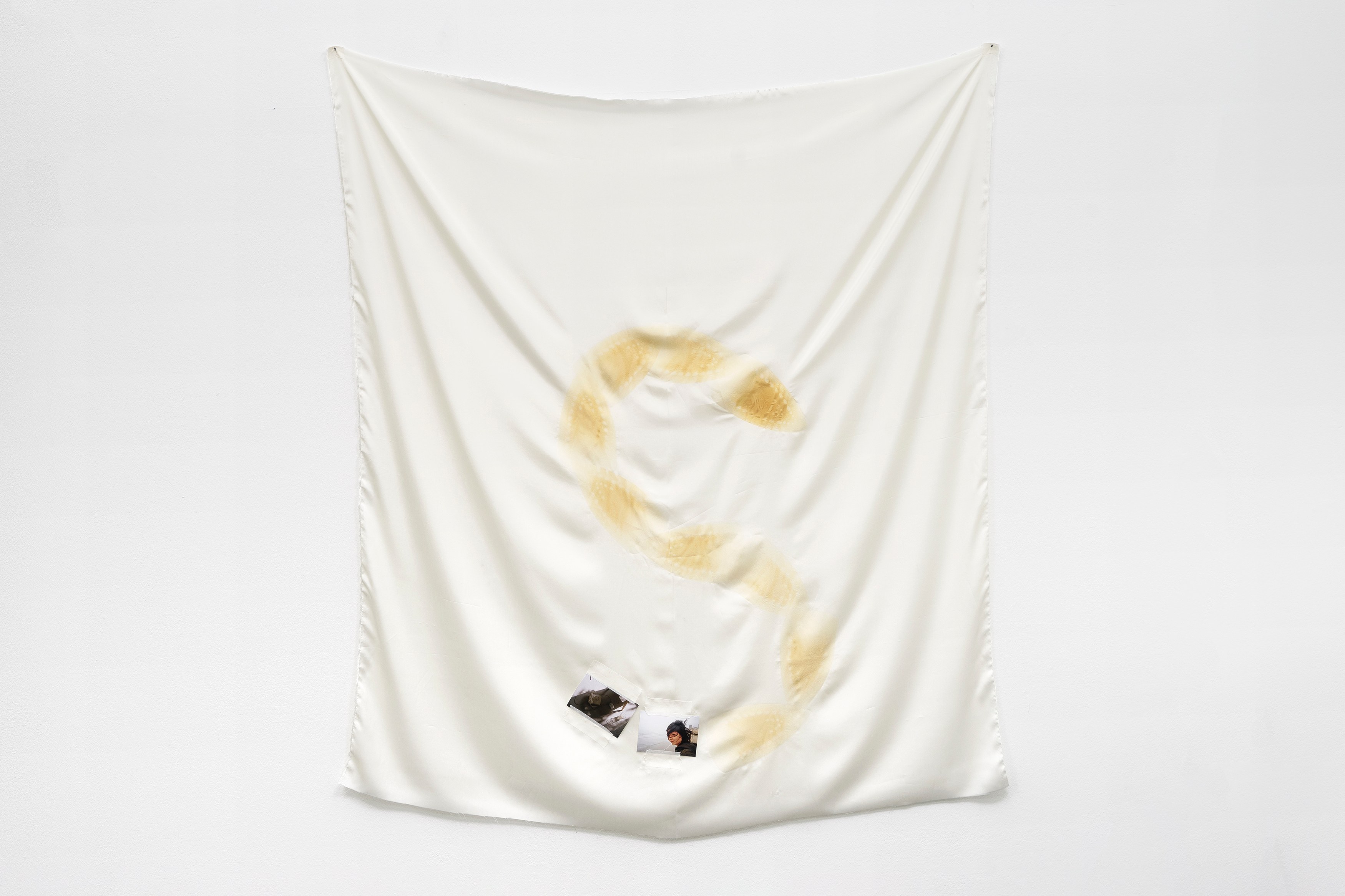 Phung-Tien Phan, Stop Dreaming at Schiefe Zähne, photo 19