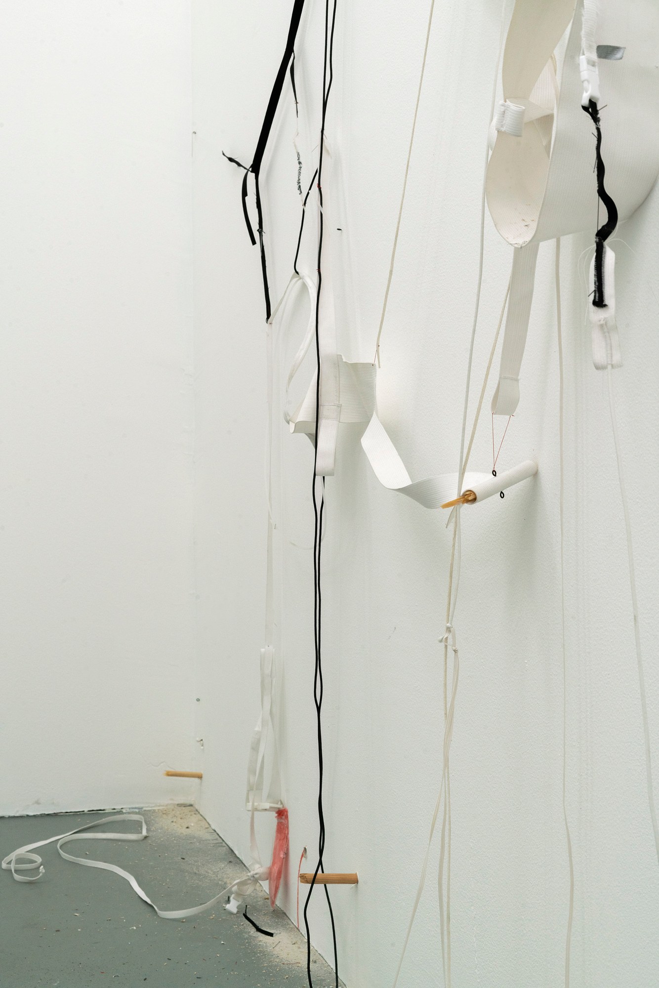 Bryan Morello, S's Whistle at Gern en Regalia, photo 29