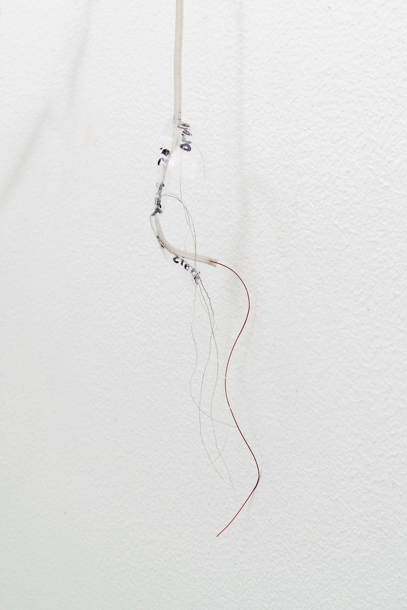 Bryan Morello, S's Whistle at Gern en Regalia, photo 50