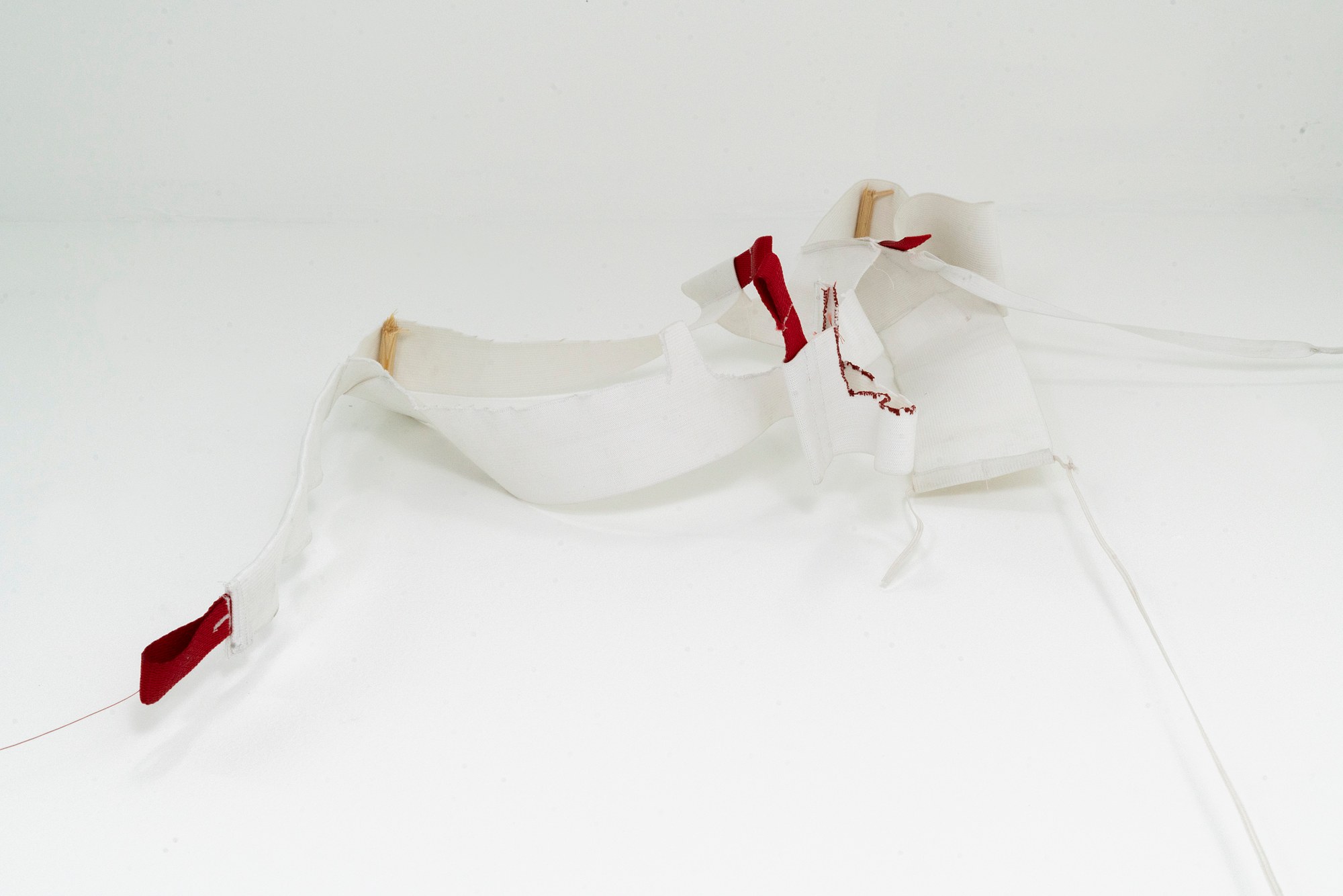 Bryan Morello, S's Whistle at Gern en Regalia, photo 57