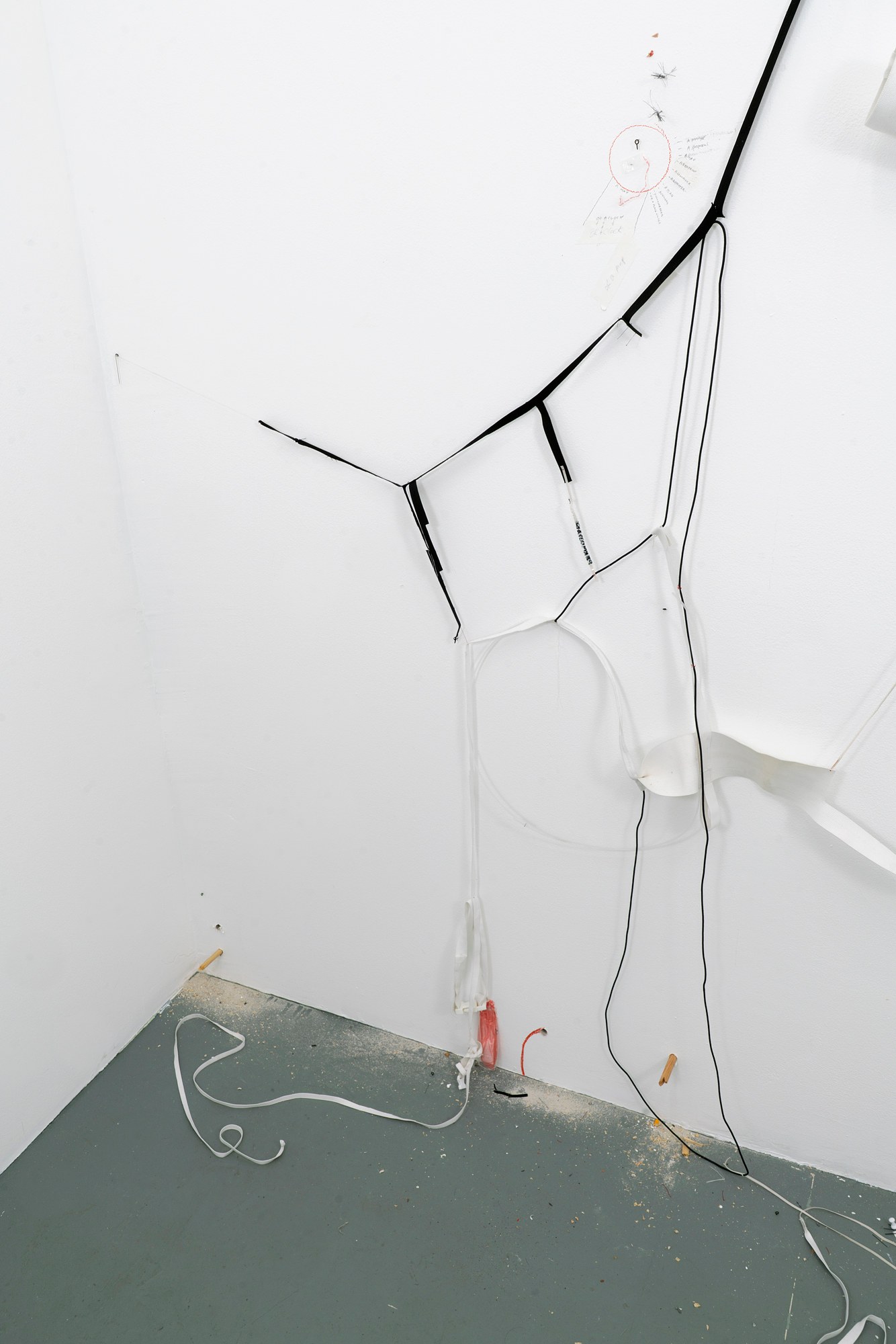 Bryan Morello, S's Whistle at Gern en Regalia, photo 59