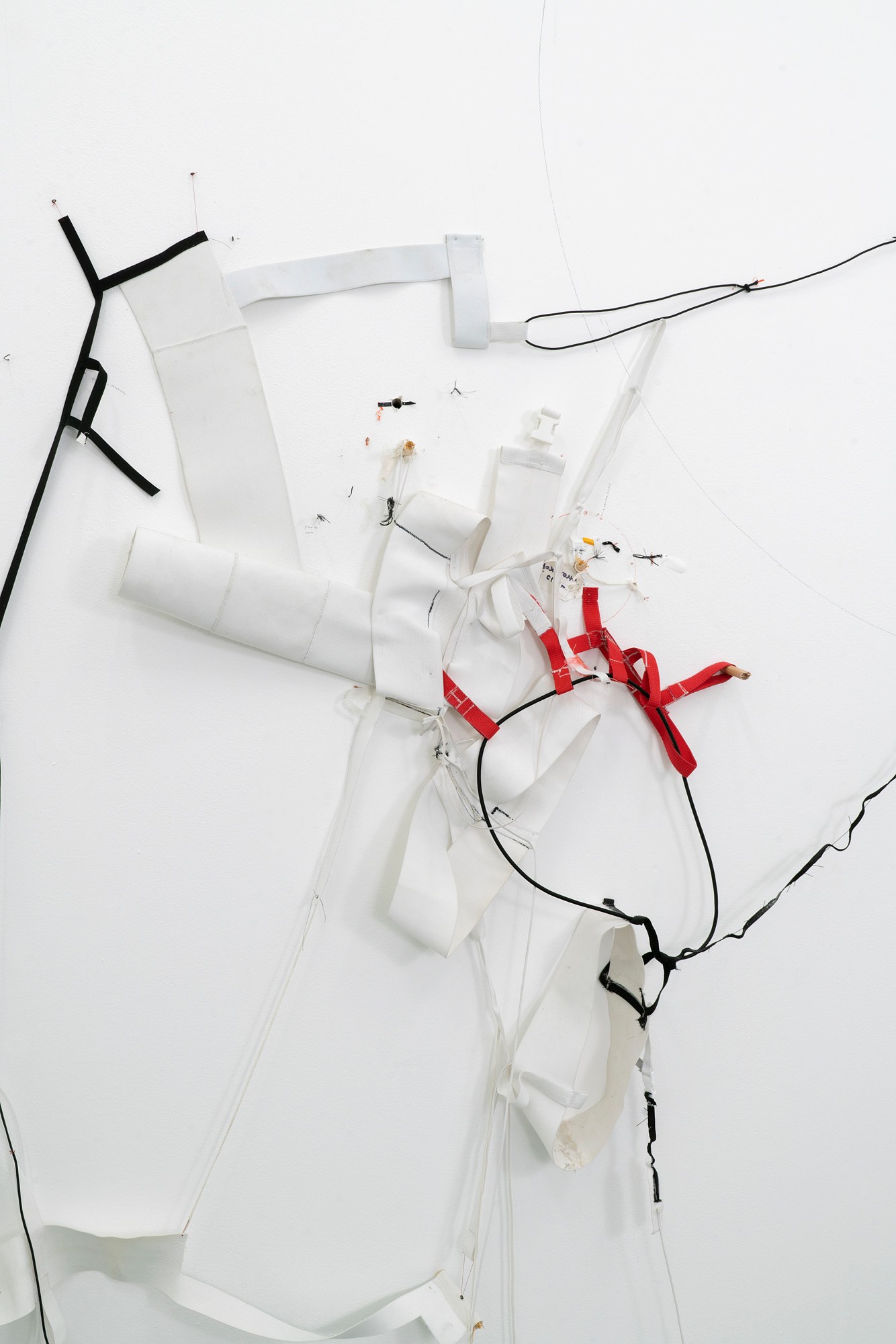 Bryan Morello, S's Whistle at Gern en Regalia, photo 58