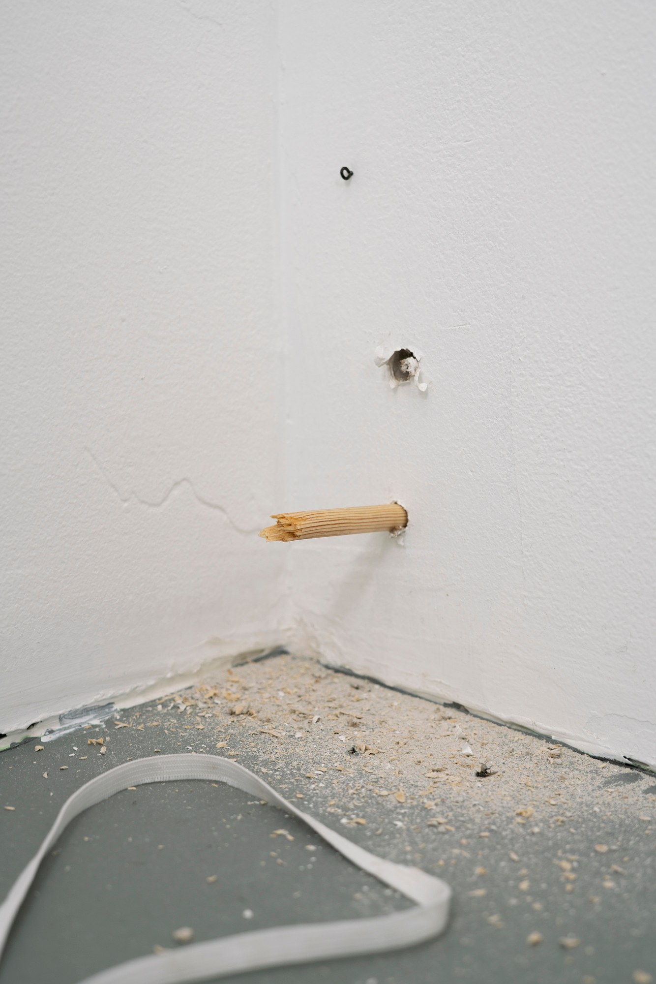 Bryan Morello, S's Whistle at Gern en Regalia, photo 60