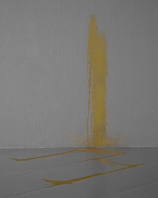 Image 4 of 17