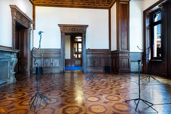 Image 8 of 12