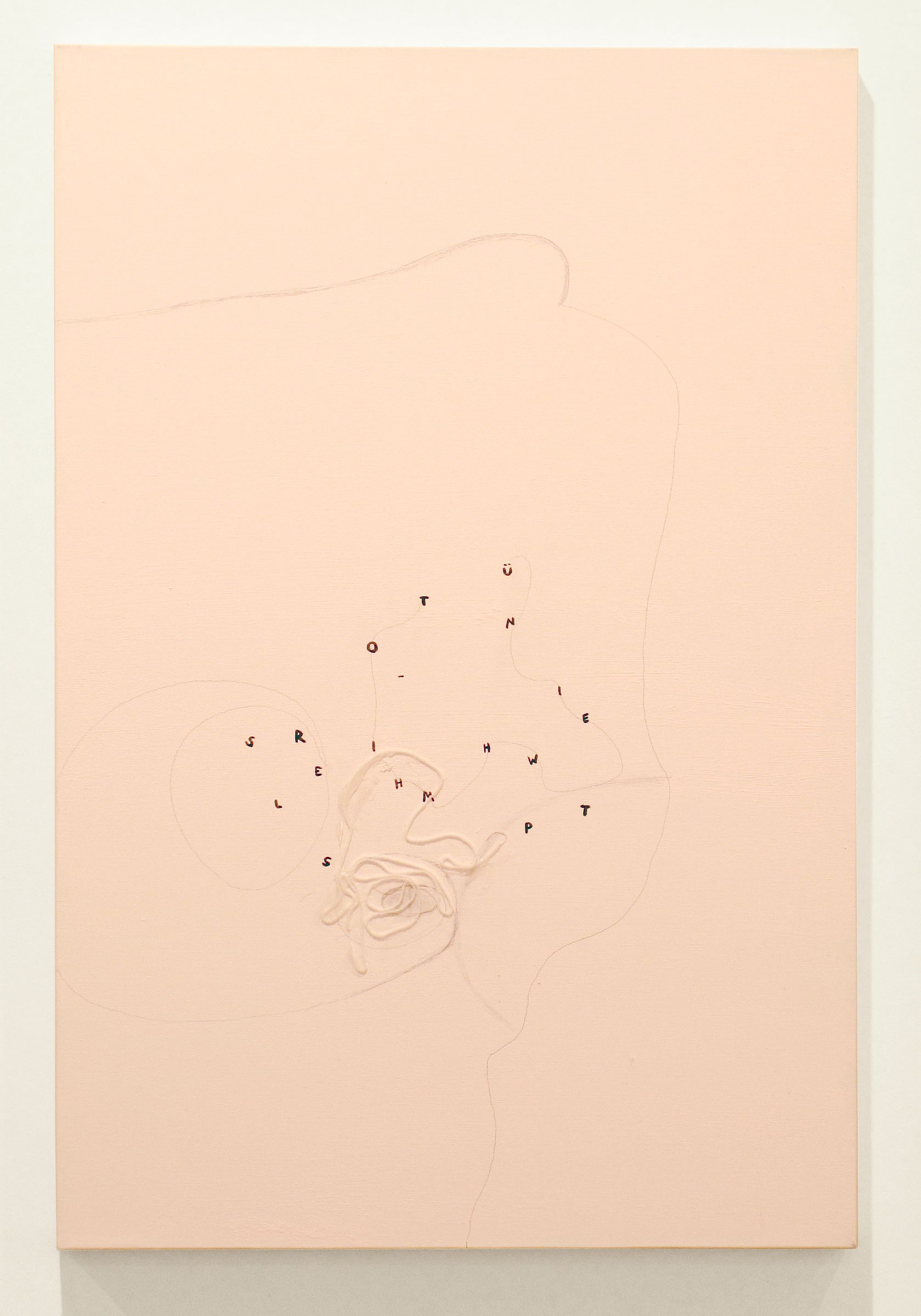 Josef Strau, Untitled at Greene Naftali, photo 15