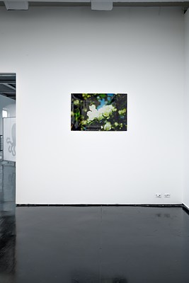 Image 3 of 45