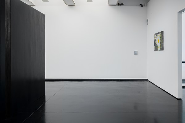Image 4 of 45