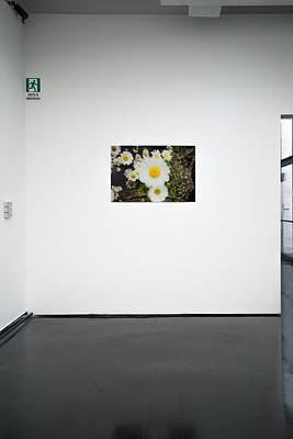Image 5 of 45