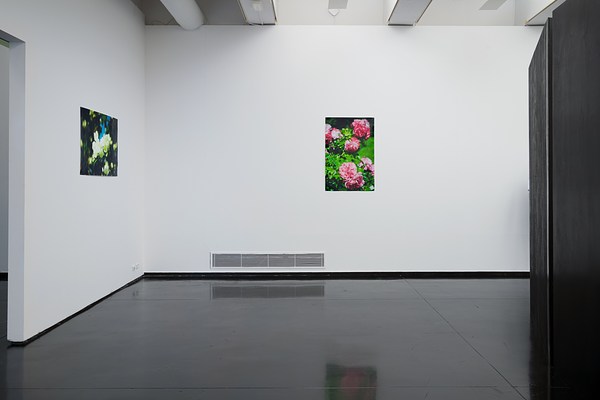 Image 2 of 45