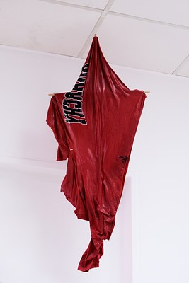 Image 14 of 20