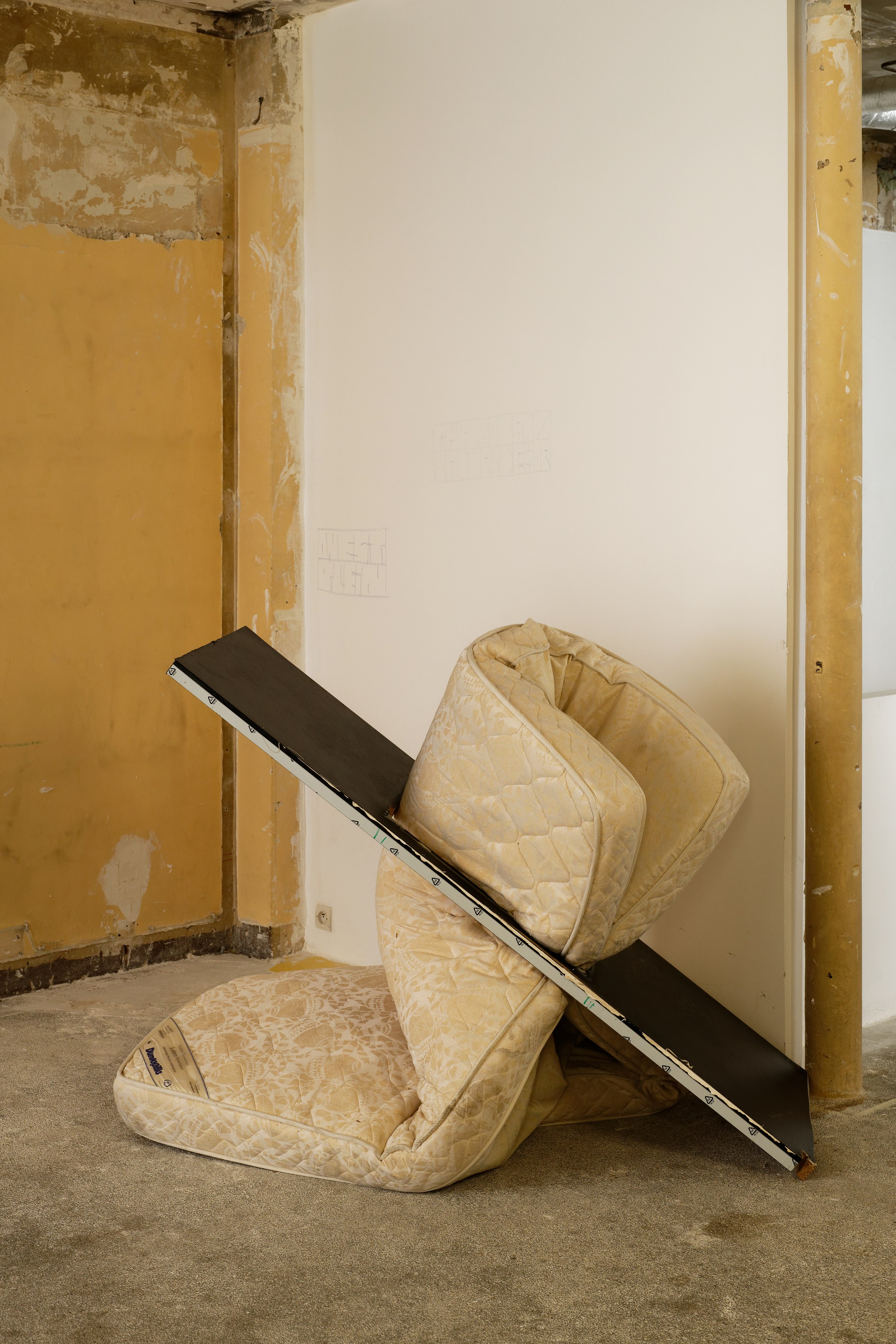 Ser Serpas, Untitled at Galerie Balice Hertling, photo 46