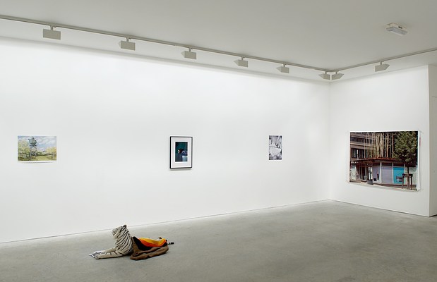 Image 5 of 22