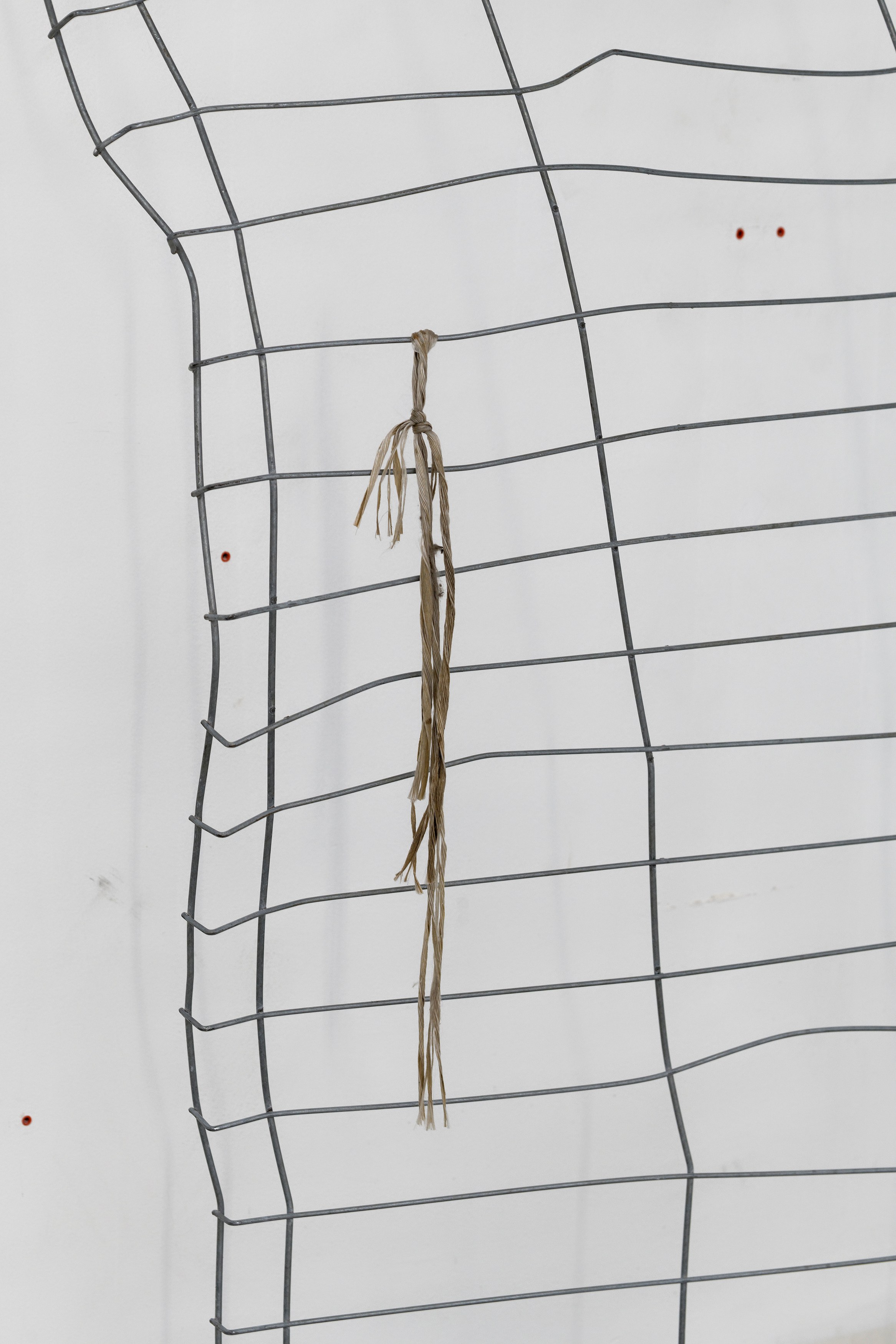Ser Serpas, Untitled at Galerie Balice Hertling, photo 80