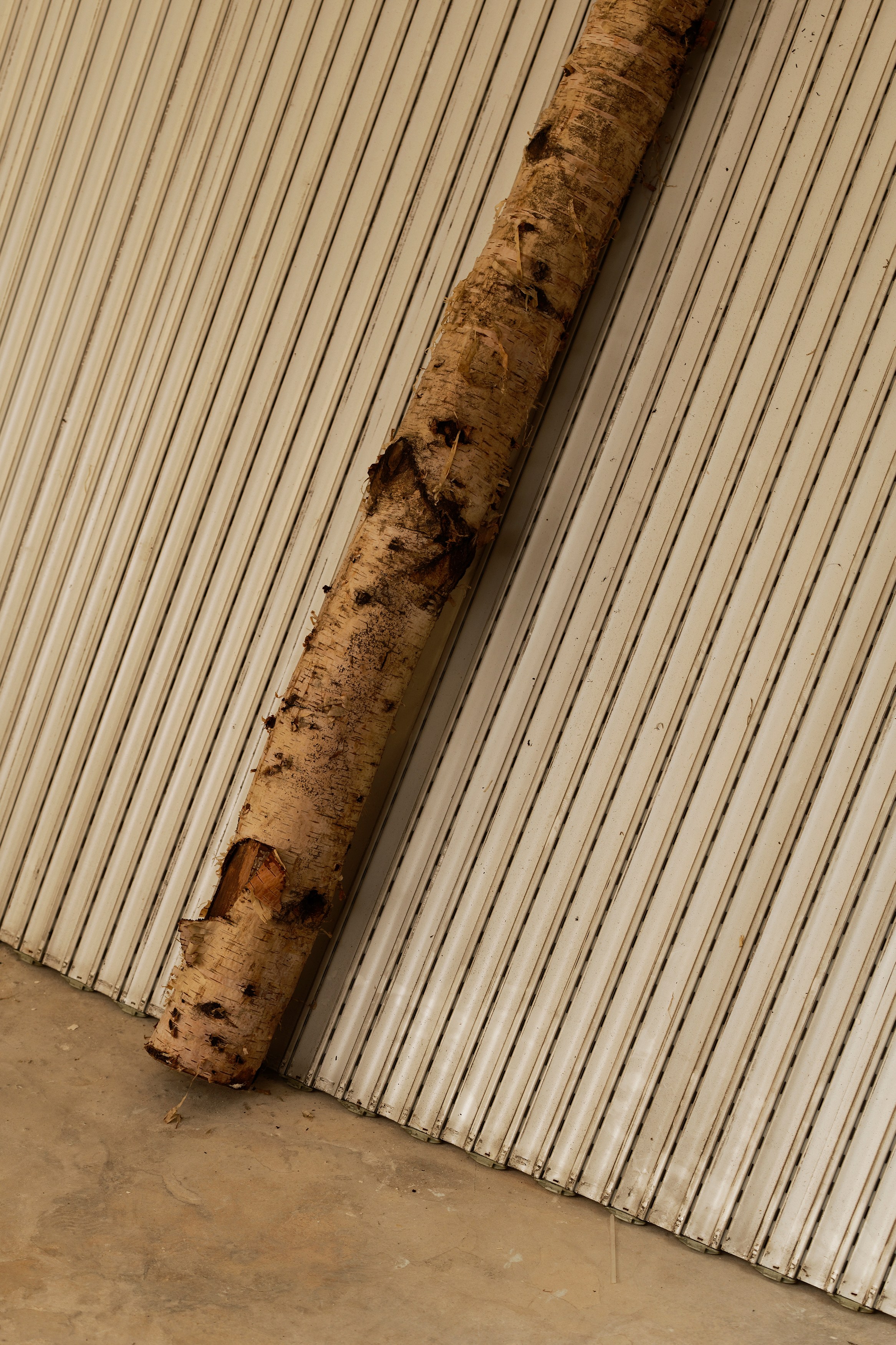 Ser Serpas, Untitled at Galerie Balice Hertling, photo 83