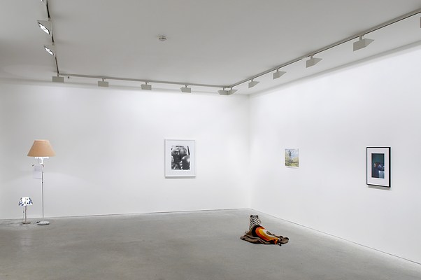 Image 4 of 22