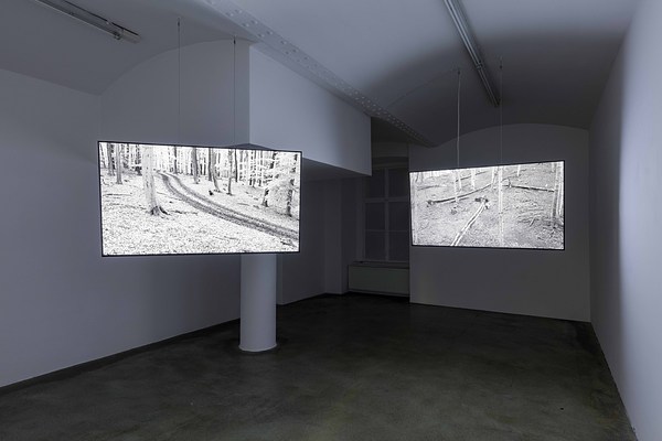 Image 4 of 10