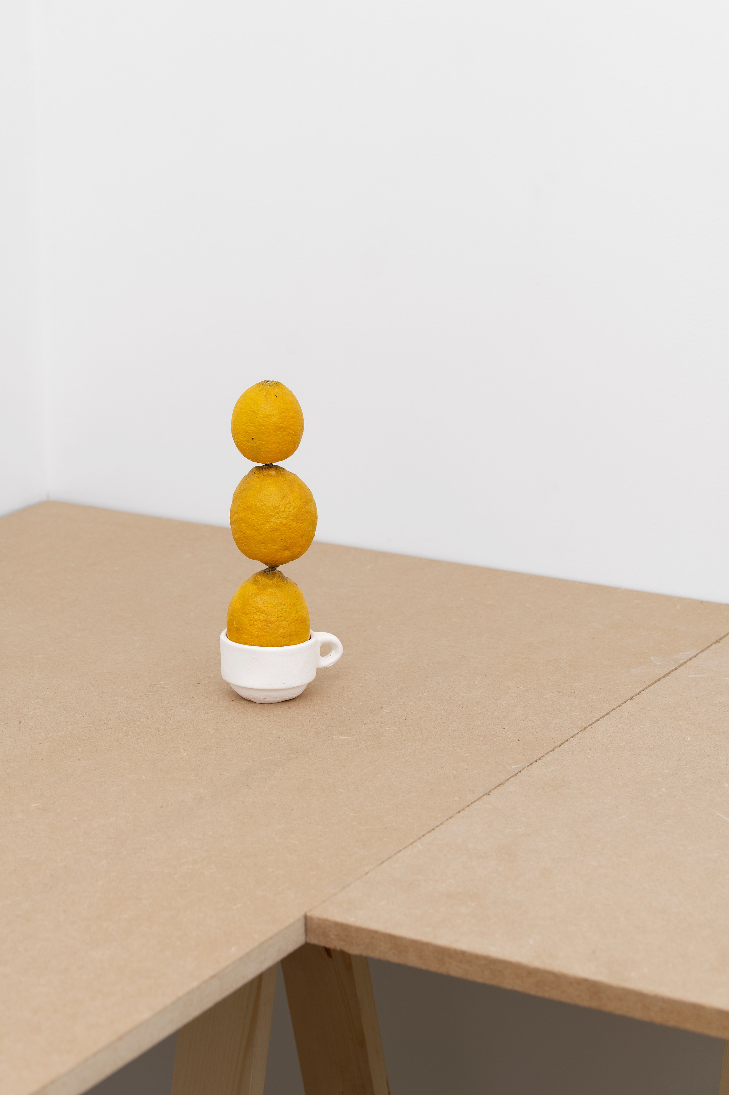Hamish Pearch, Amygdala lost and found at Galerie Sans titre at Independent, New York 2023, photo 7