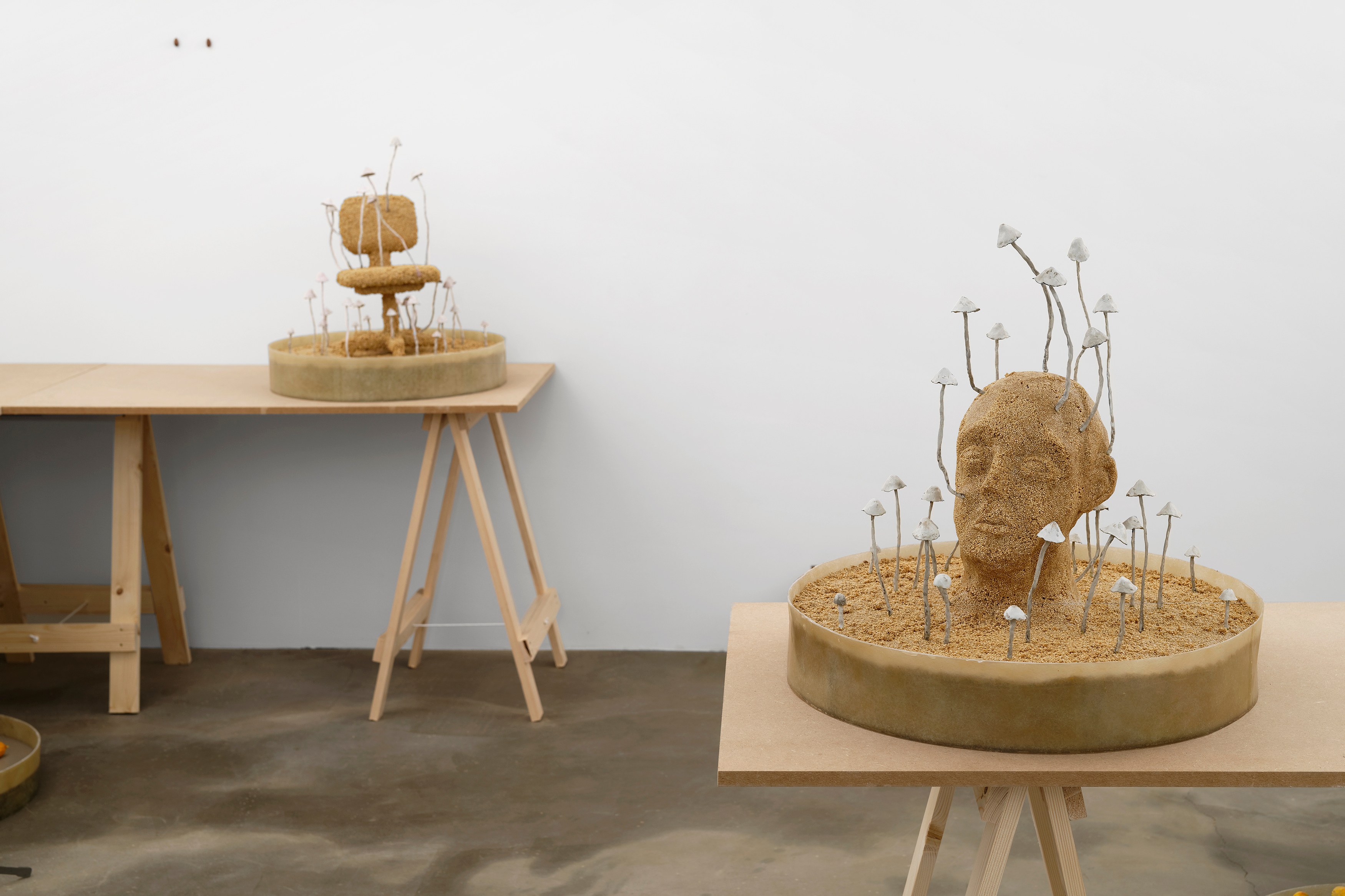 Hamish Pearch, Amygdala lost and found at Galerie Sans titre at Independent, New York 2023, photo 2