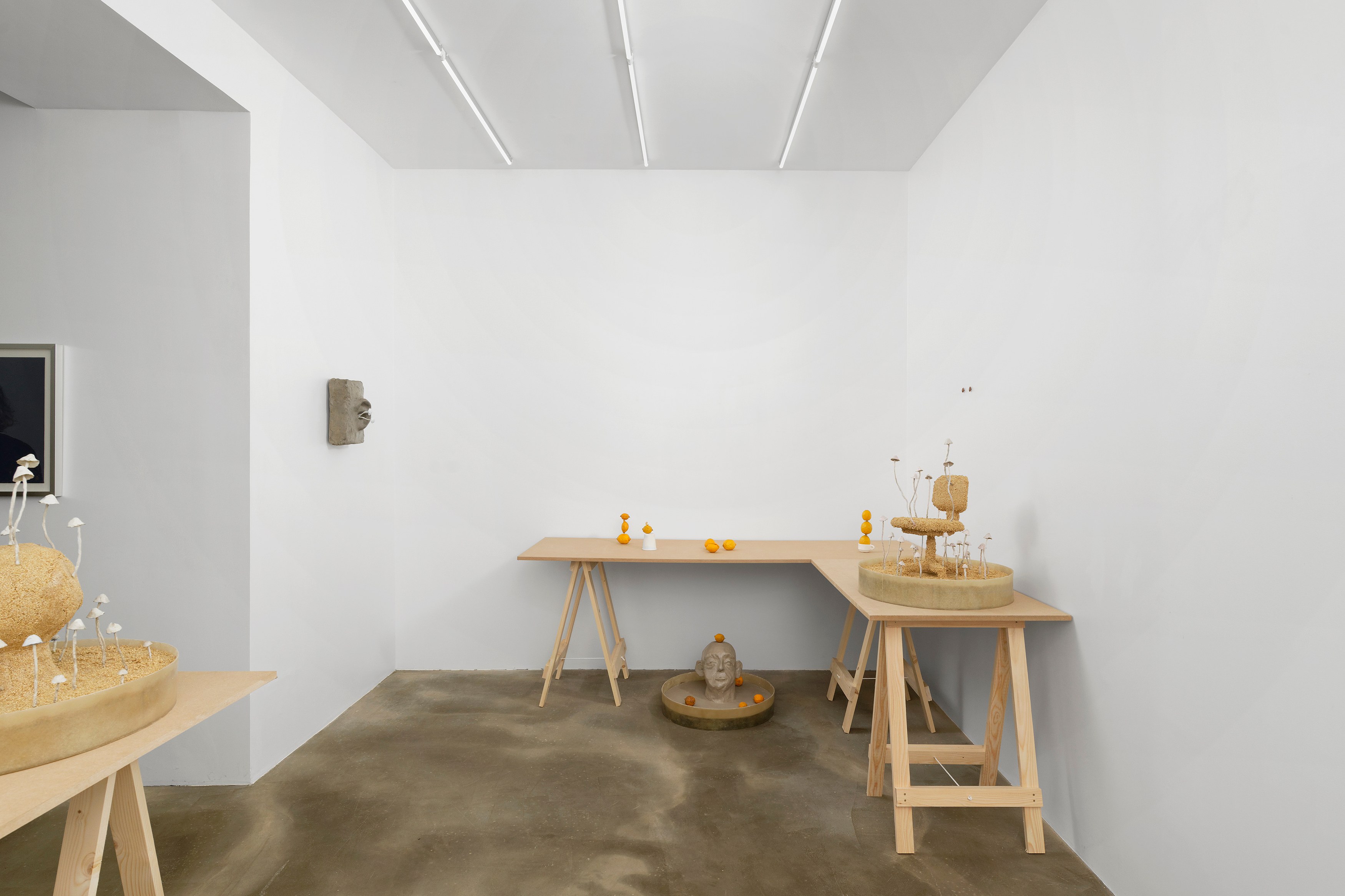 Hamish Pearch, Amygdala lost and found at Galerie Sans titre at Independent, New York 2023, photo 4