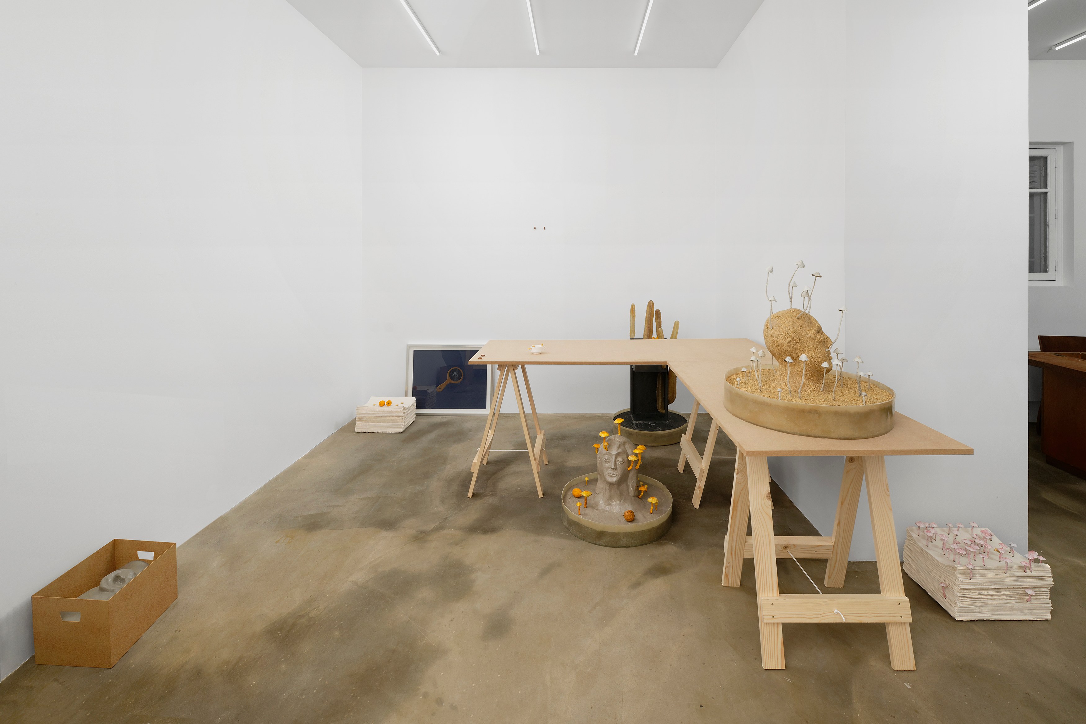 Hamish Pearch, Amygdala lost and found at Galerie Sans titre at Independent, New York 2023, photo 8