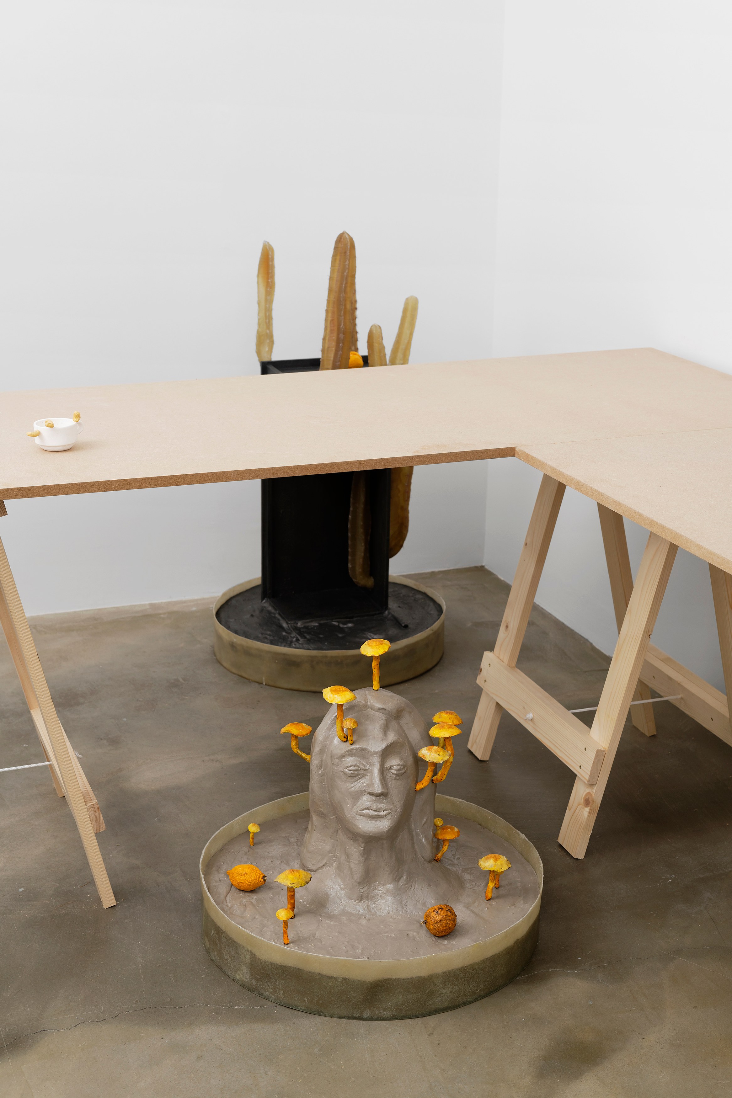 Hamish Pearch, Amygdala lost and found at Galerie Sans titre at Independent, New York 2023, photo 12