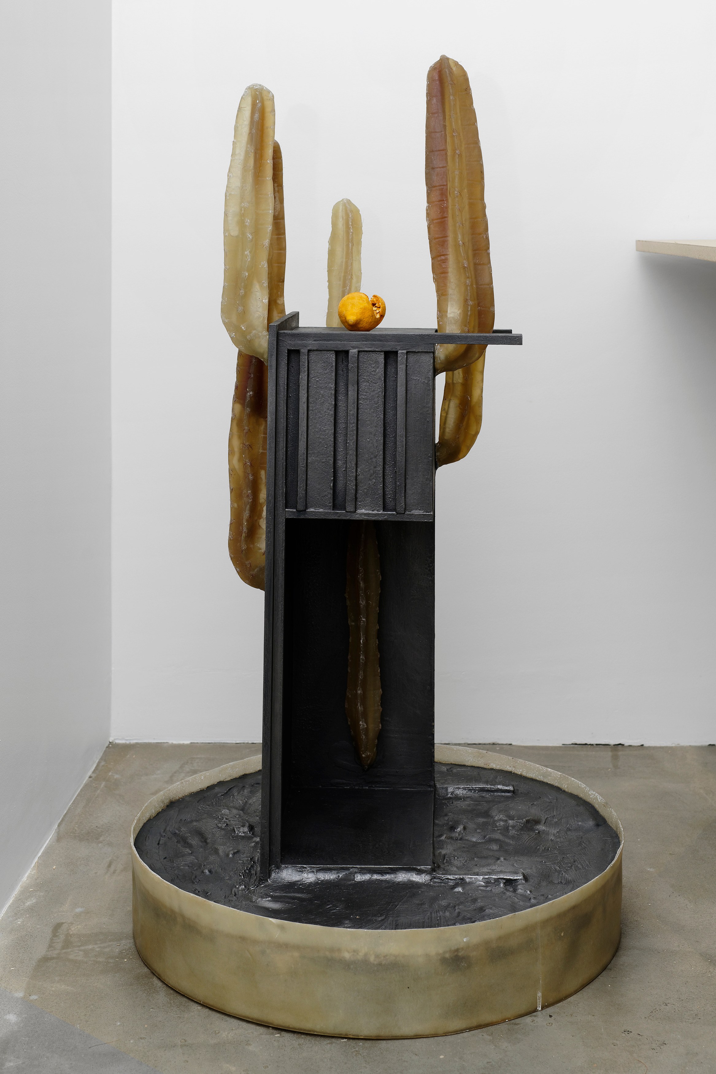 Hamish Pearch, Amygdala lost and found at Galerie Sans titre at Independent, New York 2023, photo 13
