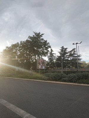 Image 6 of 40