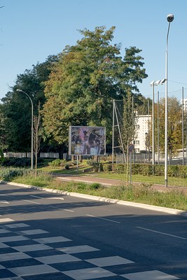 Image 7 of 40