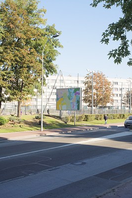 Image 8 of 40