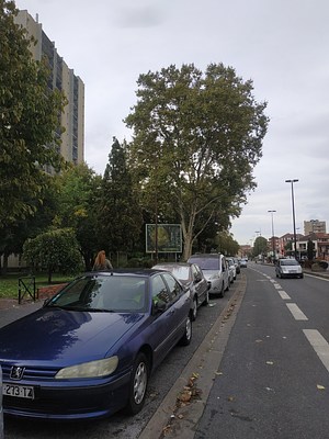 Image 21 of 40