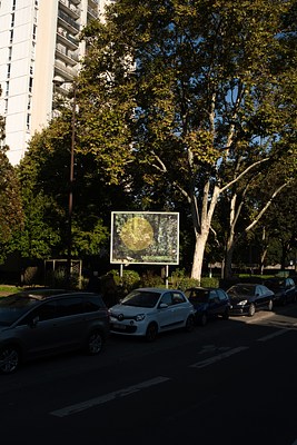 Image 19 of 40