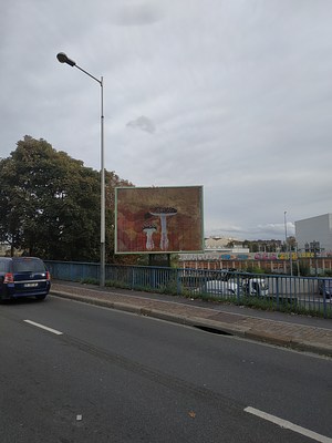 Image 26 of 40