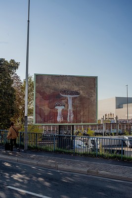 Image 25 of 40