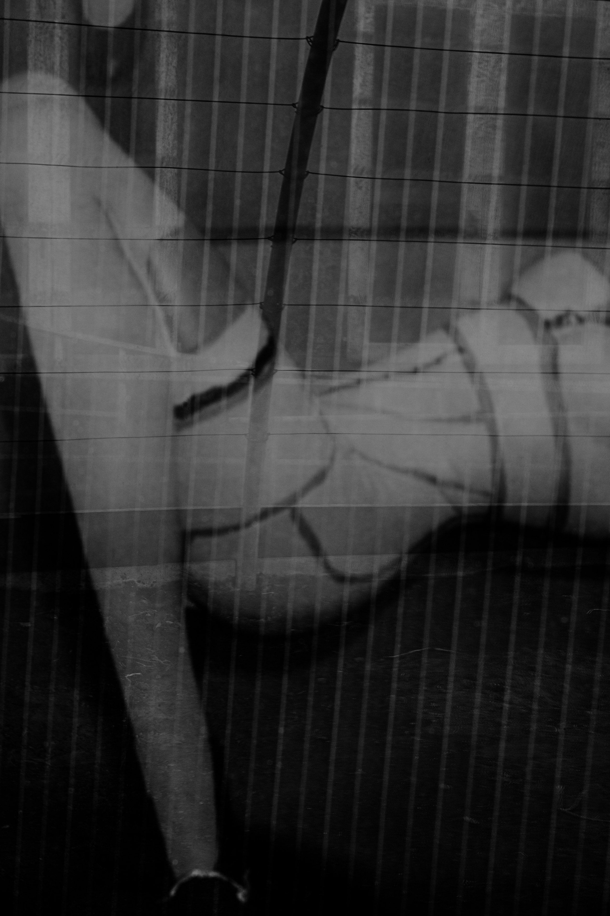 Condition Humaine, Condition Humaine at Grimm, photo 25