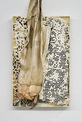 Image 8 of 13