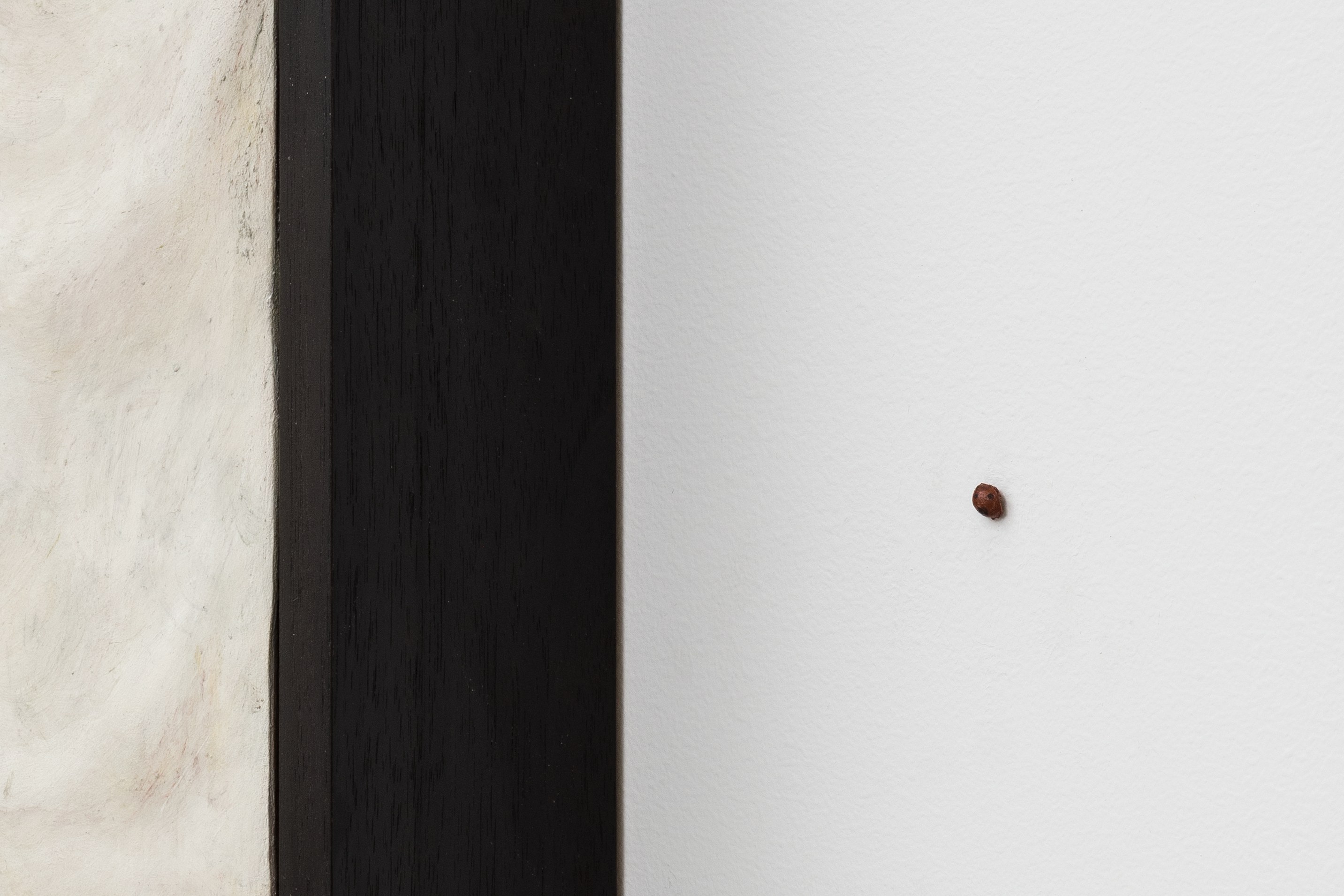 Installation view 10
