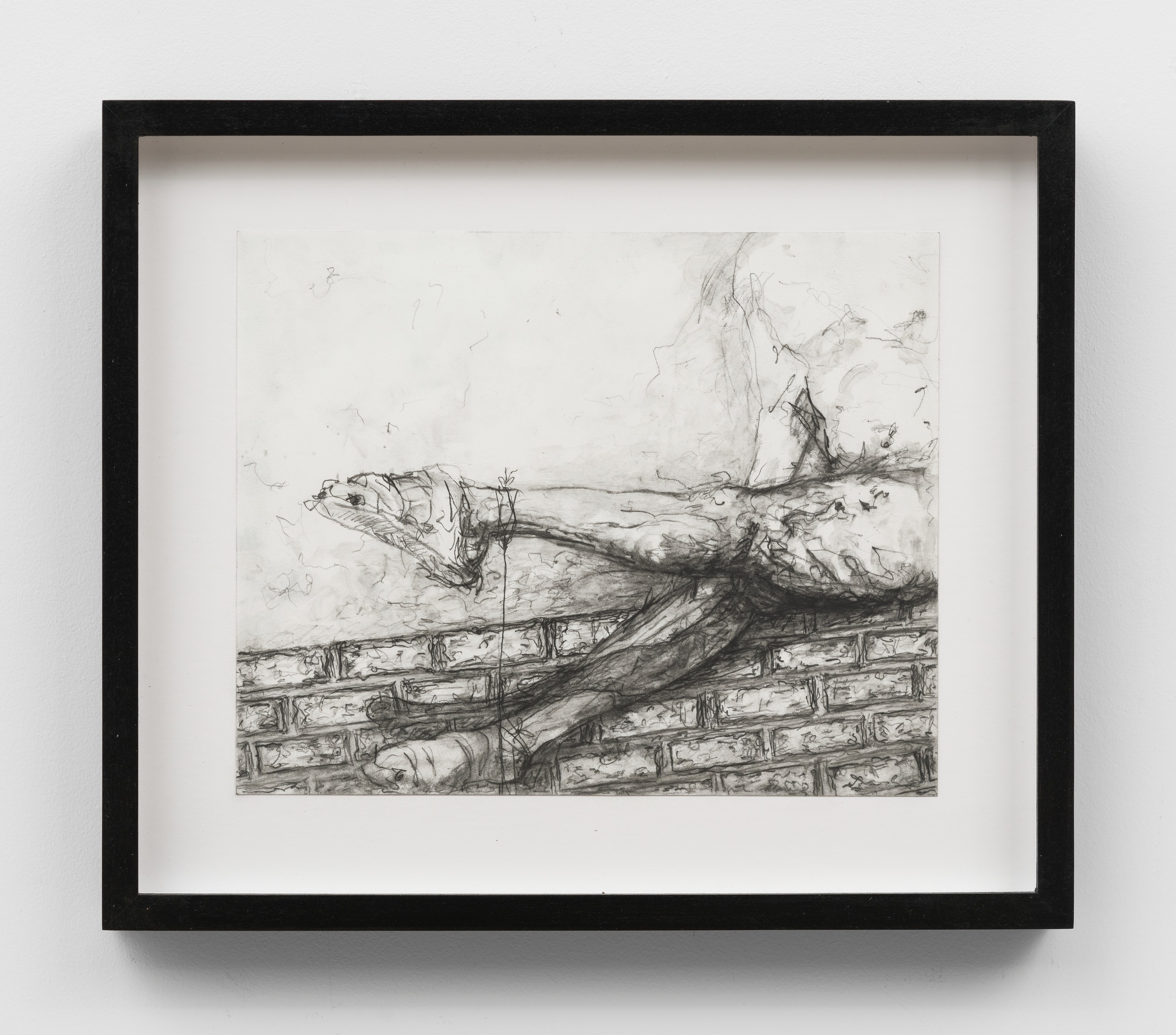 Dan Herschlein, Crickets in the City of Spare Parts at Matthew Brown, photo 69