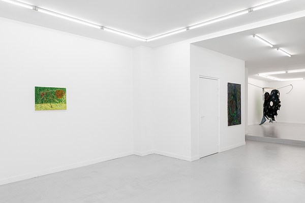 Image 4 of 17