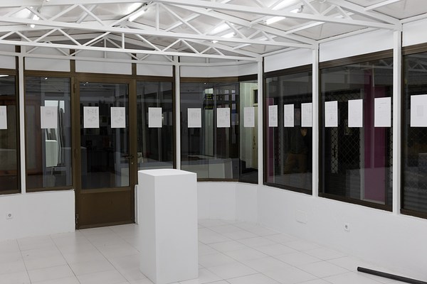 Image 4 of 19