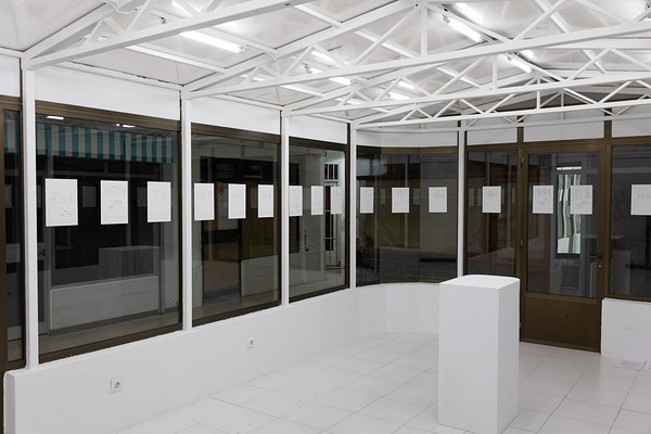 Image 3 of 19