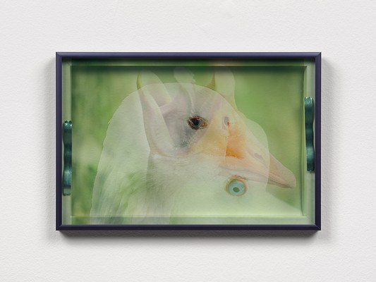 Image 10 of 10