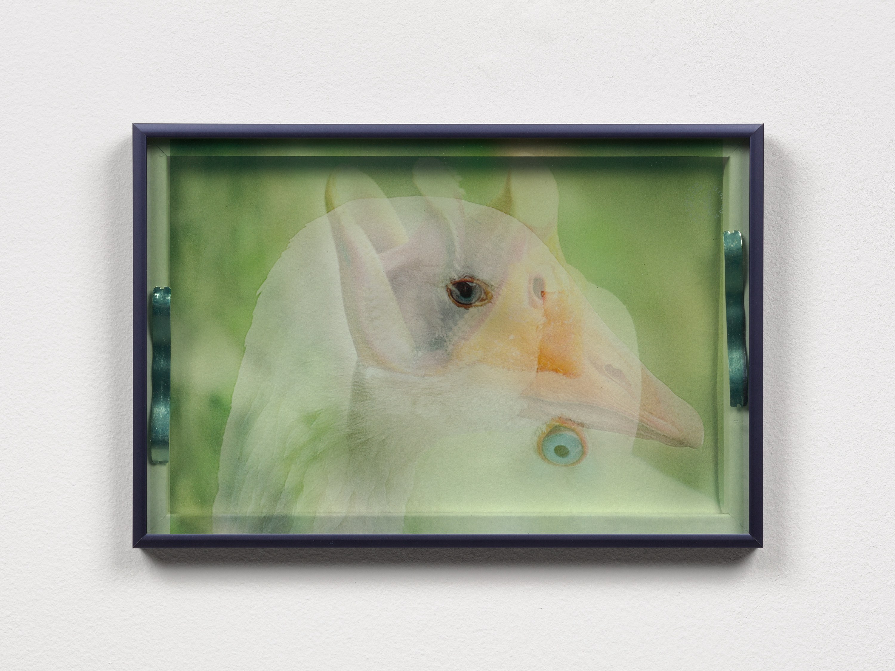 Rose Marcus, Andy Meerow, Haze Machine at Derosia, photo 10
