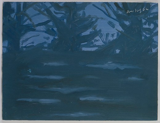 Image 6 of 17