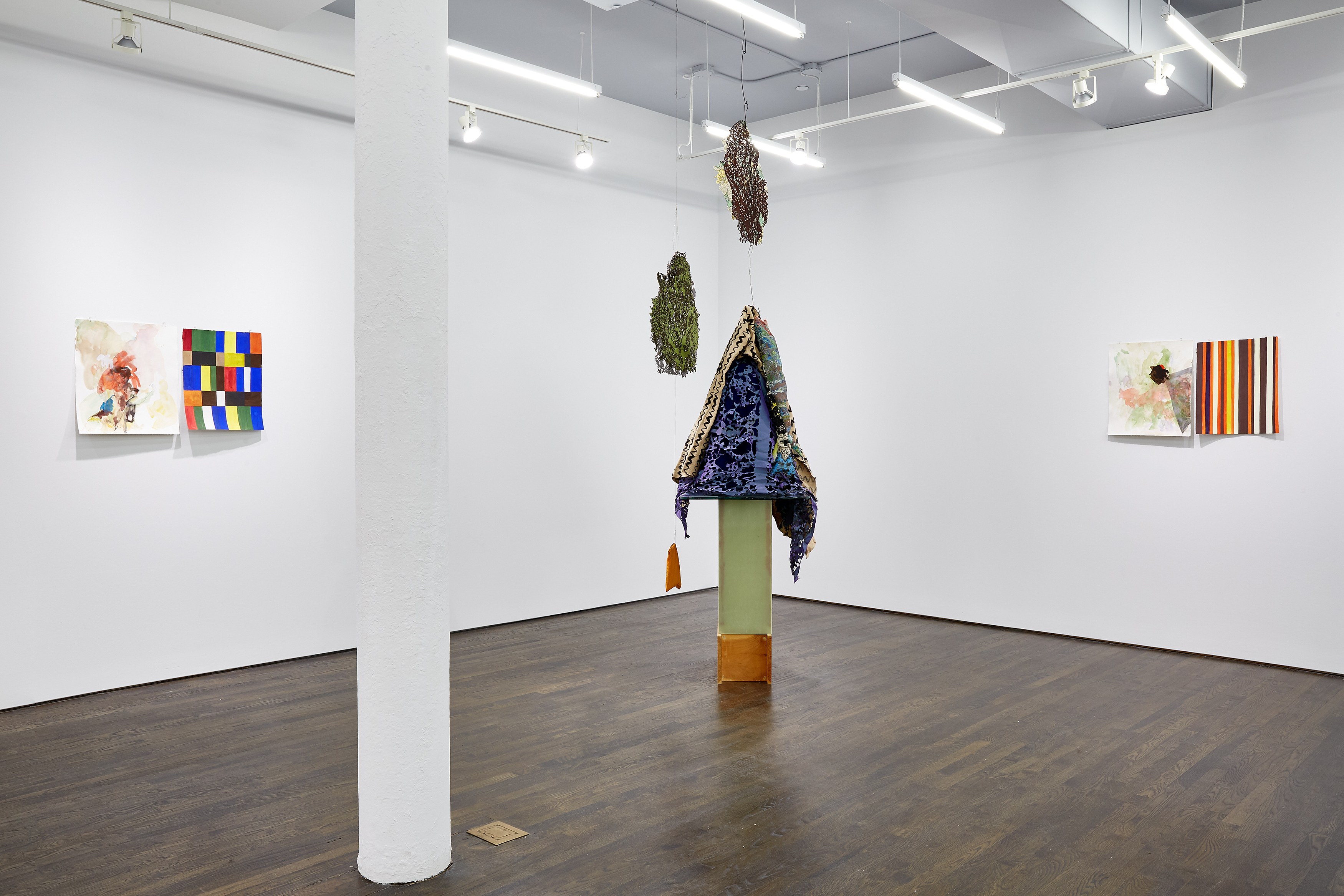 Anne Chu, Anne Chu at White Columns, photo 6