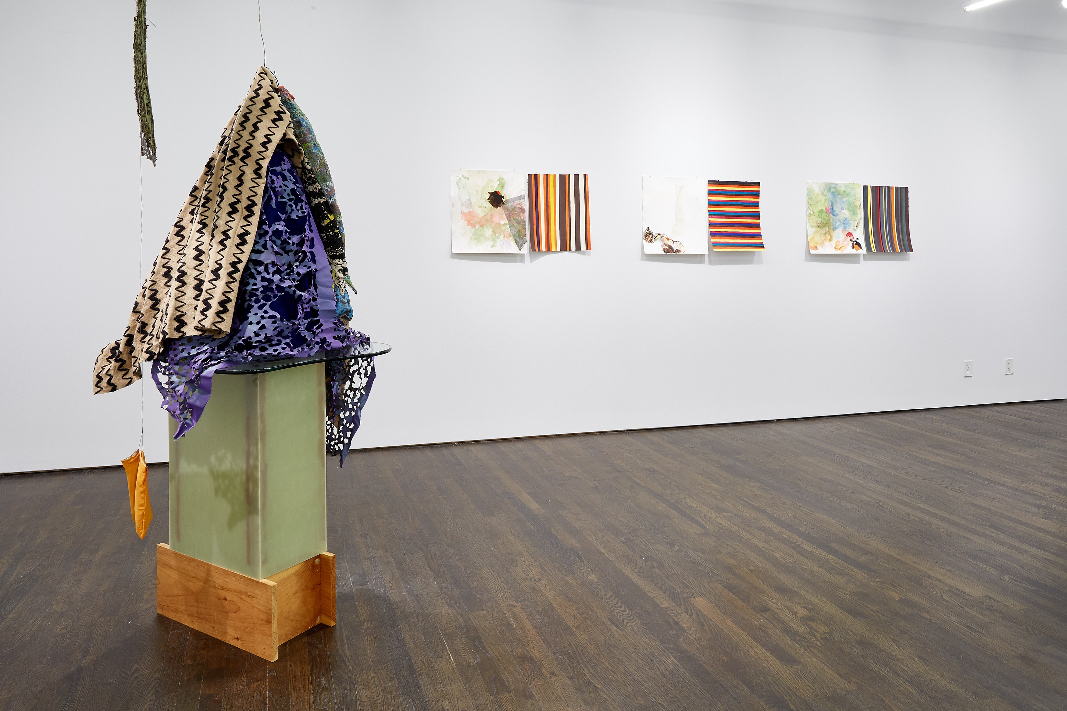 Anne Chu, Anne Chu at White Columns, photo 7