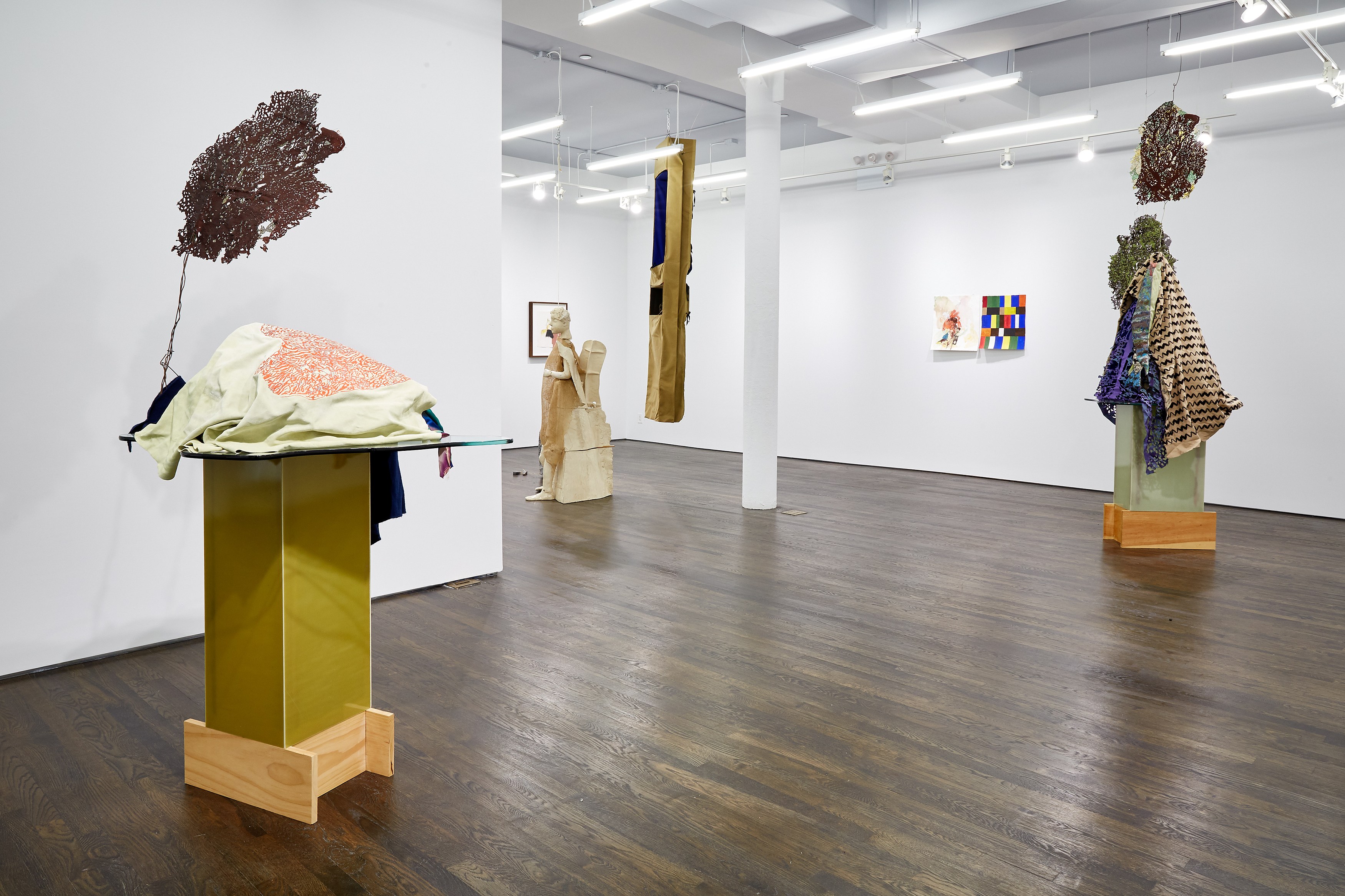 Anne Chu, Anne Chu at White Columns, photo 8